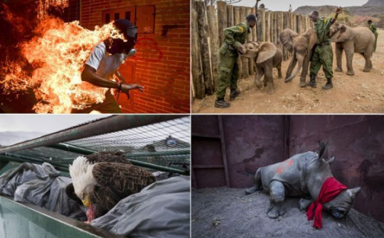 Canon tài trợ triển lãm Ảnh báo chí Thế giới