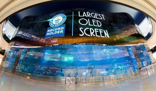 Nhu cầu màn hình OLED toàn cầu tiếp tục tăng