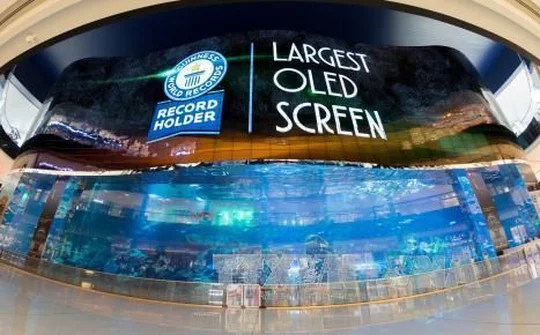 Nhu cầu màn hình OLED toàn cầu tiếp tục tăng