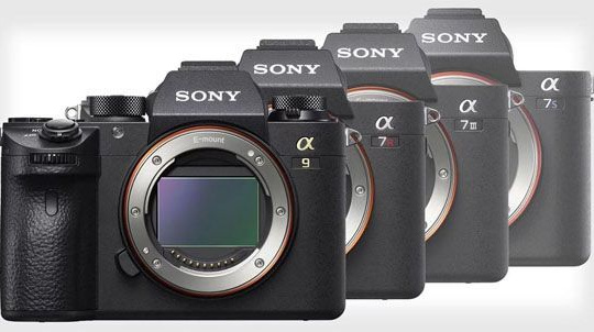 Sony đã trở thành hãng máy ảnh số 1 tại thị trường Mỹ