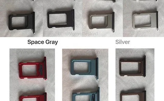 Rò rỉ khay SIM iPhone Xc xác nhận nhiều màu, hỗ trợ SIM kép