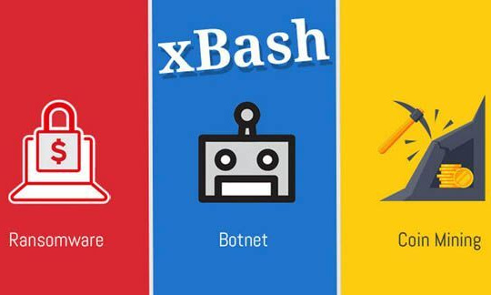 Phát hiện malware mới tấn công người dùng Windows và Linux