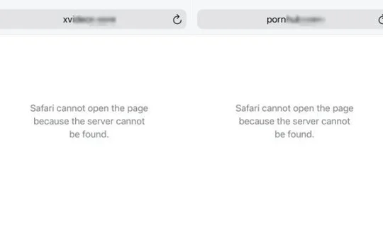 Viettel, VinaPhone chặn người dùng truy cập web khiêu dâm?