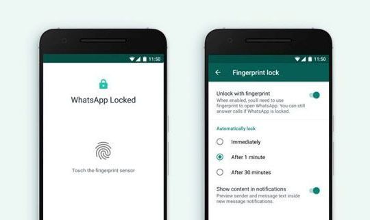 Bản cập nhật WhatsApp dành cho Android hỗ trợ mở khóa vân tay