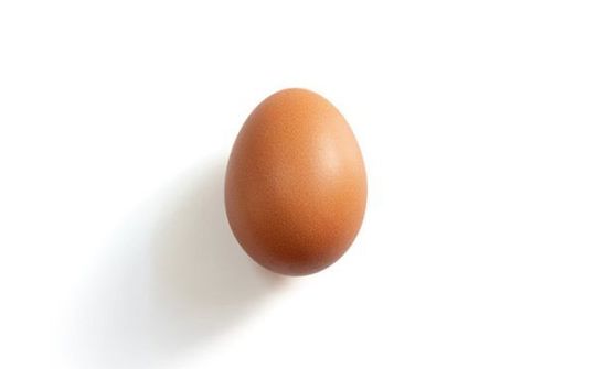 World Record Egg là một trong những tweet hàng đầu năm 2019