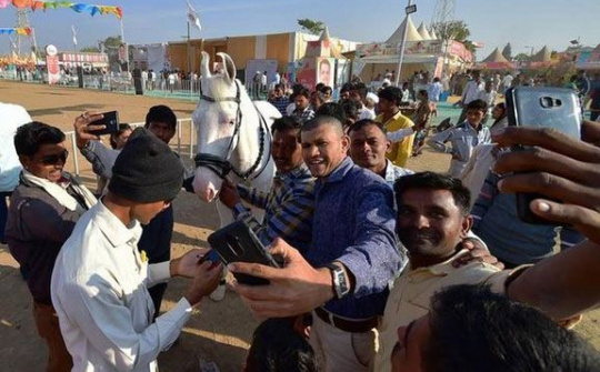 Chỉ 24% người dân Ấn Độ sở hữu điện thoại thông minh