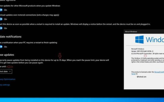 Windows 10 Home cho tạm dừng cập nhật tối đa 35 ngày