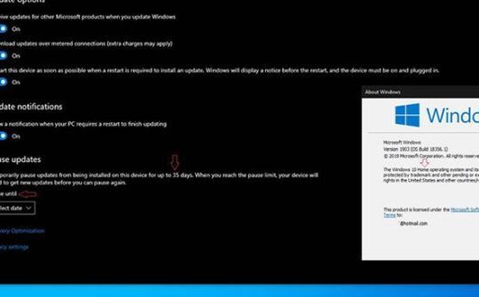 Windows 10 Home cho tạm dừng cập nhật tối đa 35 ngày