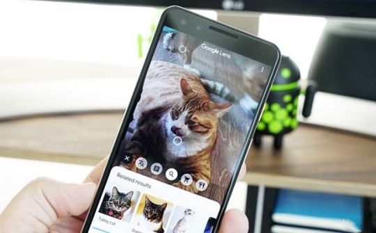 Google Lens được bổ sung thêm nhiều bộ lọc mới