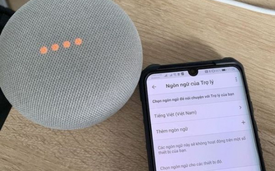 Ứng dụng Google Home xuất hiện thiết lập ngôn ngữ tiếng Việt