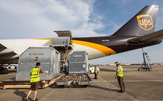 UPS đầu tư Mạng lưới Logistics Thông minh, nâng cấp dịch vụ tới châu Á - TBD