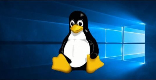 Microsoft cho phép dùng nhân Linux tùy chỉnh trên Windows 10