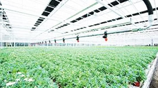 Hướng tới thị trường châu Âu nhờ các giải pháp "Nông nghiệp 4.0"