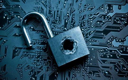 Hơn 400 lỗ hổng bảo mật đã được phát hiện thông qua nền tảng WhiteHub