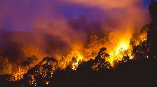 IBM hỗ trợ chính phủ Úc trong thảm họa cháy rừng