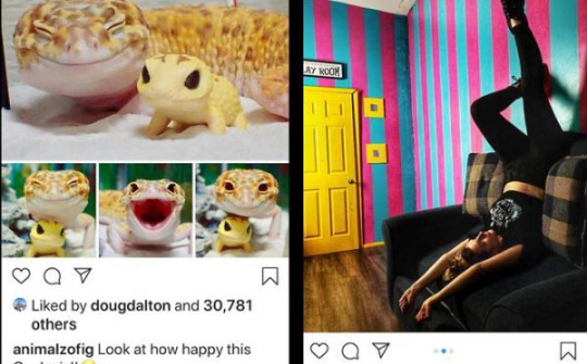 Instagram loại bỏ nút IGTV khỏi ứng dụng