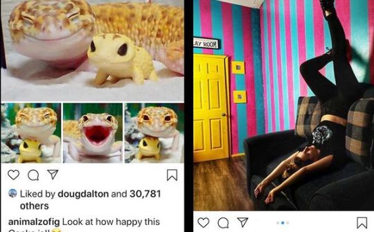 Instagram loại bỏ nút IGTV khỏi ứng dụng