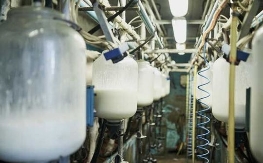 Bốn kịch bản cho tương lai ngành sữa: Công nghệ là trọng số quyết định