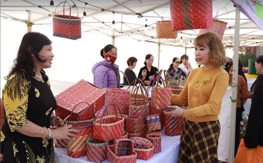 “Chung tay giảm rác thải nhựa vì Vịnh Hạ Long xanh”