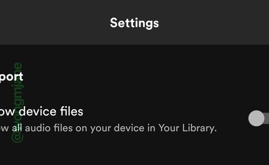 Spotify cho phép phát tệp nhạc ngoại tuyến lưu cục bộ