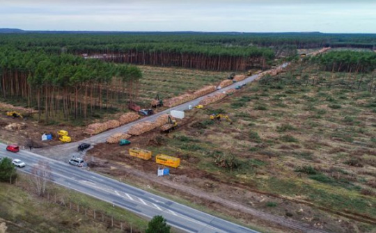 Tesla được bật đèn xanh xây dựng nhà máy tại Đức