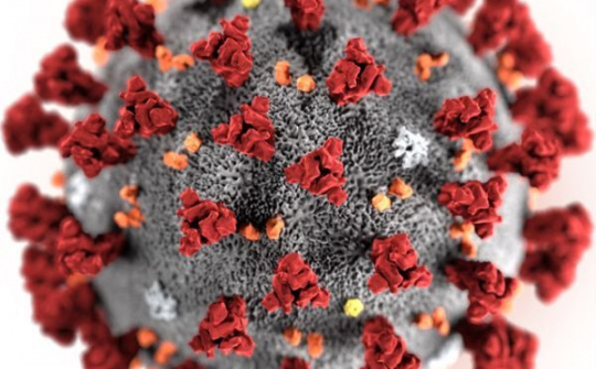 Cảnh báo về mã độc ẩn trong tài liệu giả mạo về virus corona