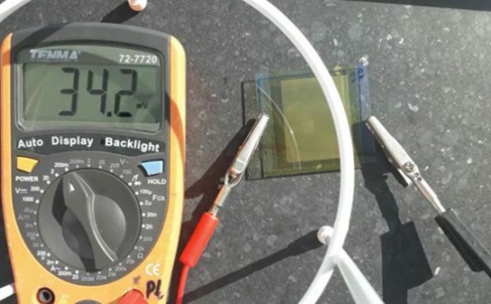 Pin mặt trời được chế tạo từ enzyme trong đu đủ