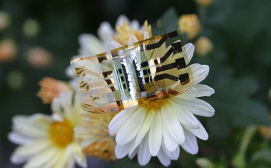 Smartwatch tương lai sẽ dùng pin năng lượng mặt trời siêu mỏng