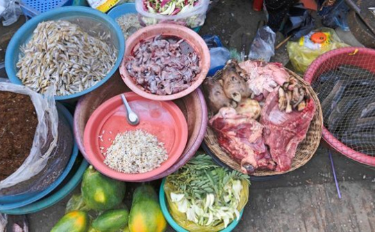 Four Paws "tố" Now.vn và Foody tiếp tay cho việc tiêu thụ thịt chó mèo bất chấp COVID-19