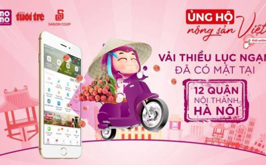 Vải thiều Lục Ngạn cập bến Hà Nội với giá 22.900 đồng/ký trên Ví MoMo