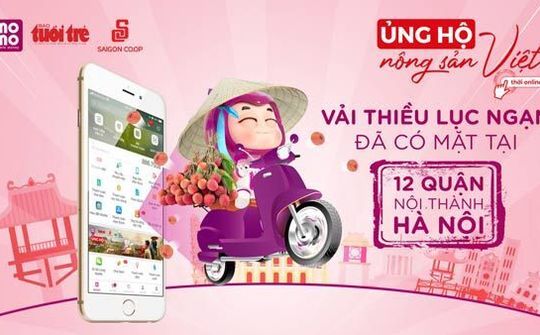 Vải thiều Lục Ngạn cập bến Hà Nội với giá 22.900 đồng/ký trên Ví MoMo