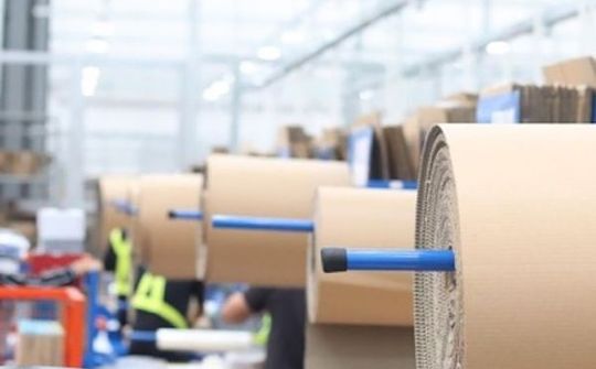 Chiến dịch Go Green của Tiki đang đạt được những kết quả tích cực