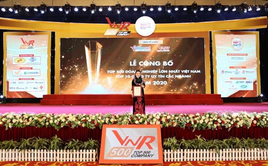 TLC năm thứ 11 đứng trong bảng vinh danh VNR500