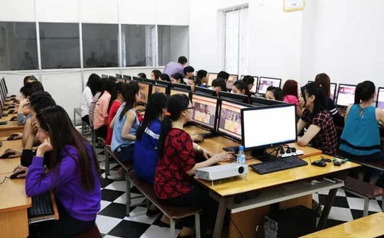 Khởi động TechBee - chương trình hướng nghiệp sớm tại Việt Nam