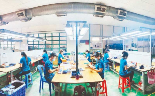 Doanh nghiệp tái thiết toàn diện cùng FPT eCovax Pháo đài Xanh