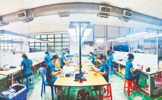 Doanh nghiệp tái thiết toàn diện cùng FPT eCovax Pháo đài Xanh