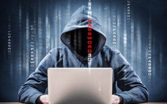 Canada: Quebec đóng gần 4.000 trang web do lo ngại tấn công mạng