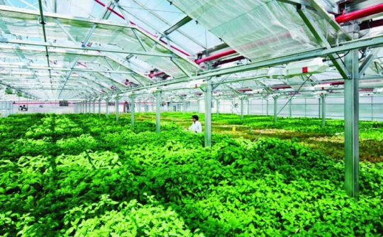 Chuyển đổi số trong Nông nghiệp: Bộn bề "đất vỡ hoang"