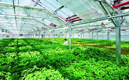 Chuyển đổi số trong Nông nghiệp: Bộn bề "đất vỡ hoang"