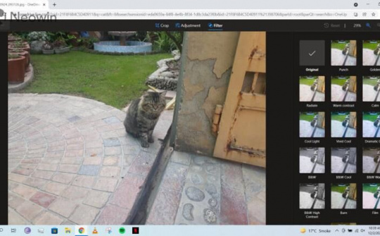 Microsoft thêm tính năng chỉnh sửa ảnh mới cho OneDrive trên web