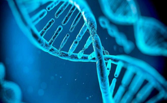 Công ty giải mã gen Genetica huy động được 2,5 triệu USD