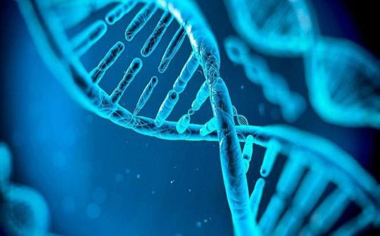Công ty giải mã gen Genetica huy động được 2,5 triệu USD