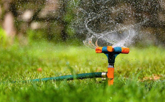 Tưới tiêu thông minh với máy ảnh kỹ thuật số và AI