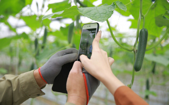 Viettel Post ứng dụng công nghệ giúp người dân bán nông sản chủ động hơn 