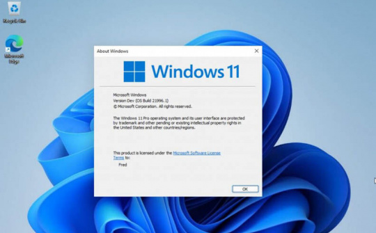 Windows 11 ISO bị rò rỉ, tiết lộ giao diện người dùng trước ngày ra mắt 24/6