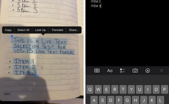 Cách dùng Live Text trên iOS 15 để sao chép văn bản trong ảnh 