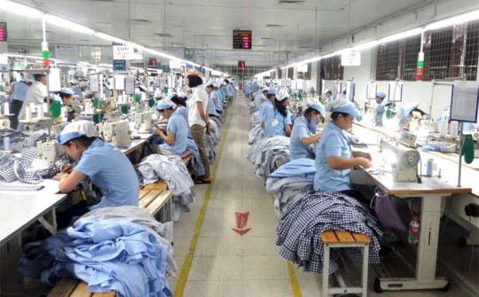 NOVAON khởi động Dự án Chuyển đổi số cho TCT Đức Giang