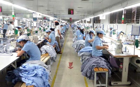 NOVAON khởi động Dự án Chuyển đổi số cho TCT Đức Giang