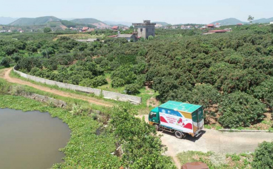 6 tháng đầu năm, Viettel Post triển khai mới hơn 1.100 bưu cục số, doanh thu 10.450 tỷ đồng