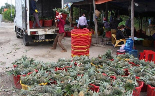 Kết nối cung - cầu sản phẩm nông nghiệp "chuẩn" và nhanh hơn nhờ công nghệ